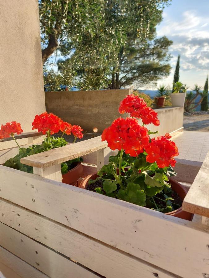 B&B Villa Maria Ester Весте Екстериор снимка